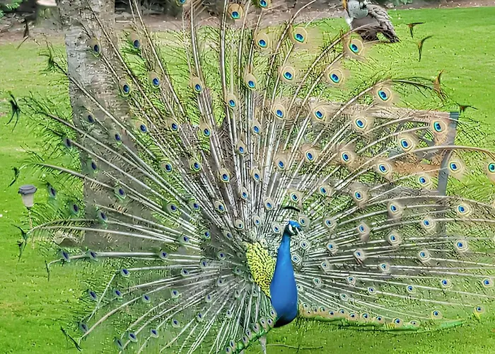 Maison Confortable A Avec Piscine Privee Semesterbostad Saint-Germain-du-Pert